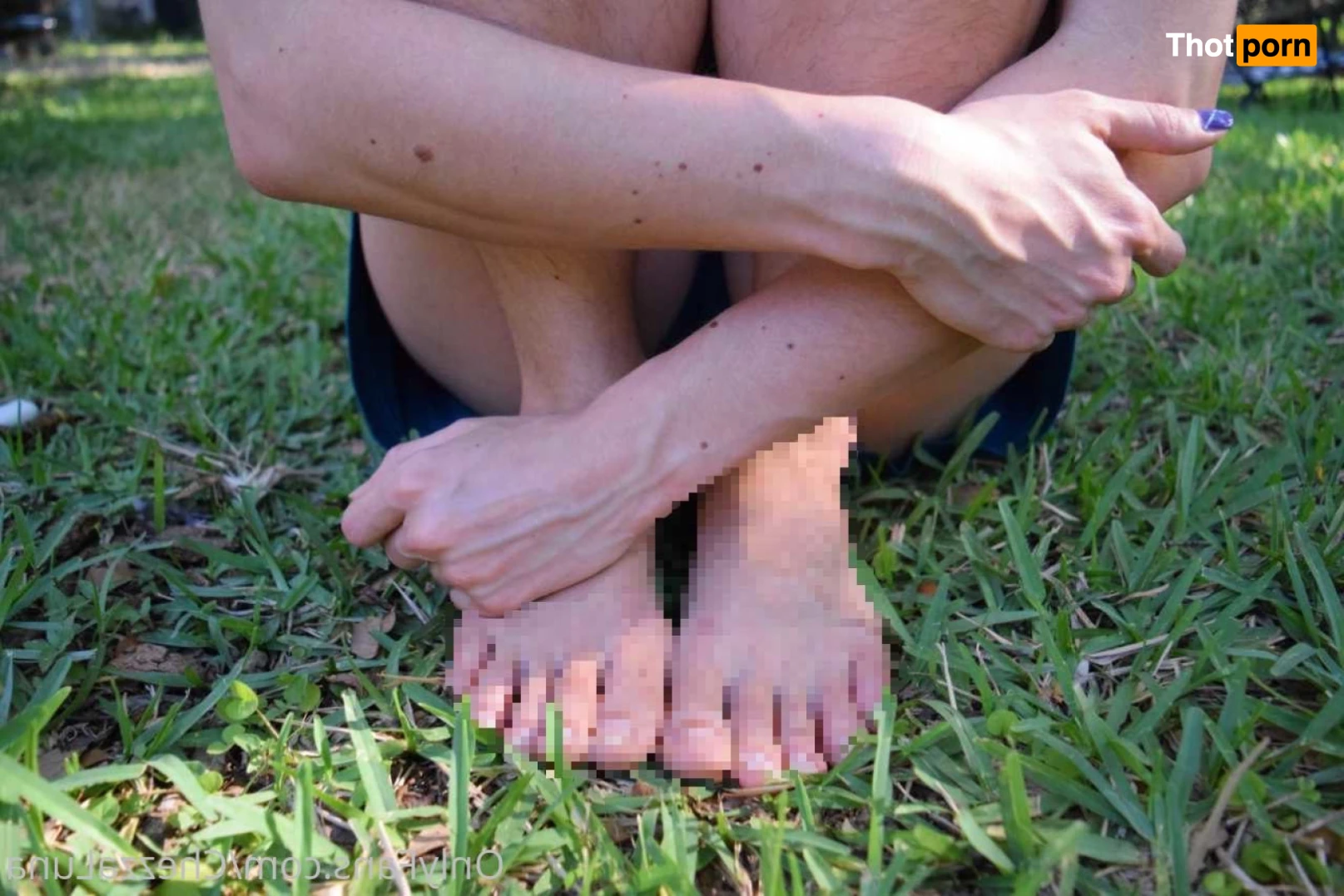 The lunar flower of perversion 12744361