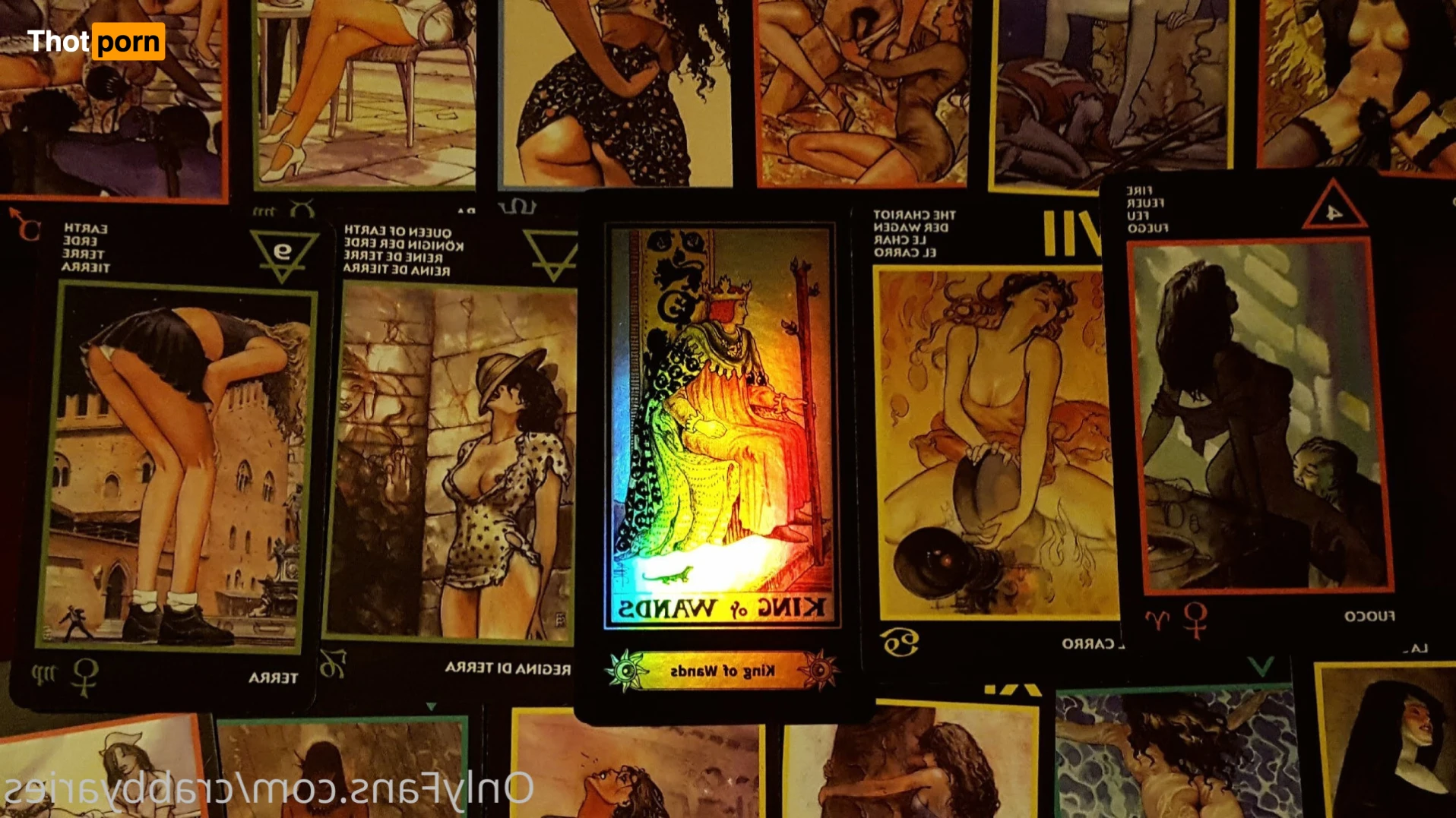 King of Wands 16028674