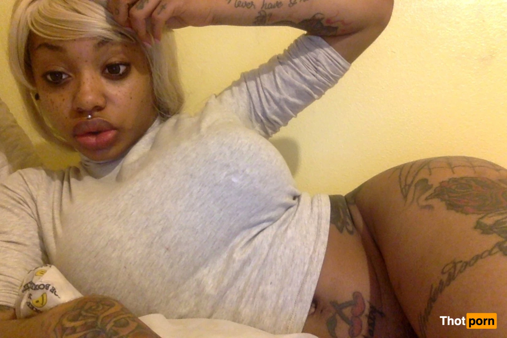 CREAMYEXOTICA 8616836