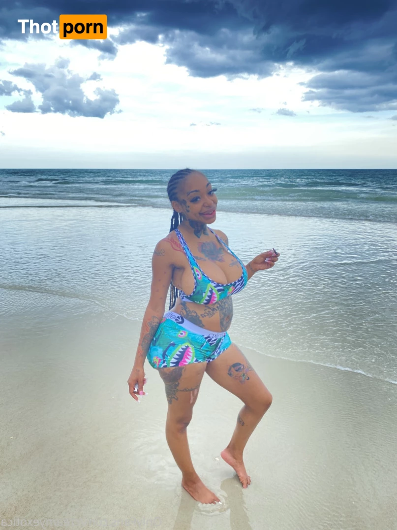 CREAMYEXOTICA 8616995