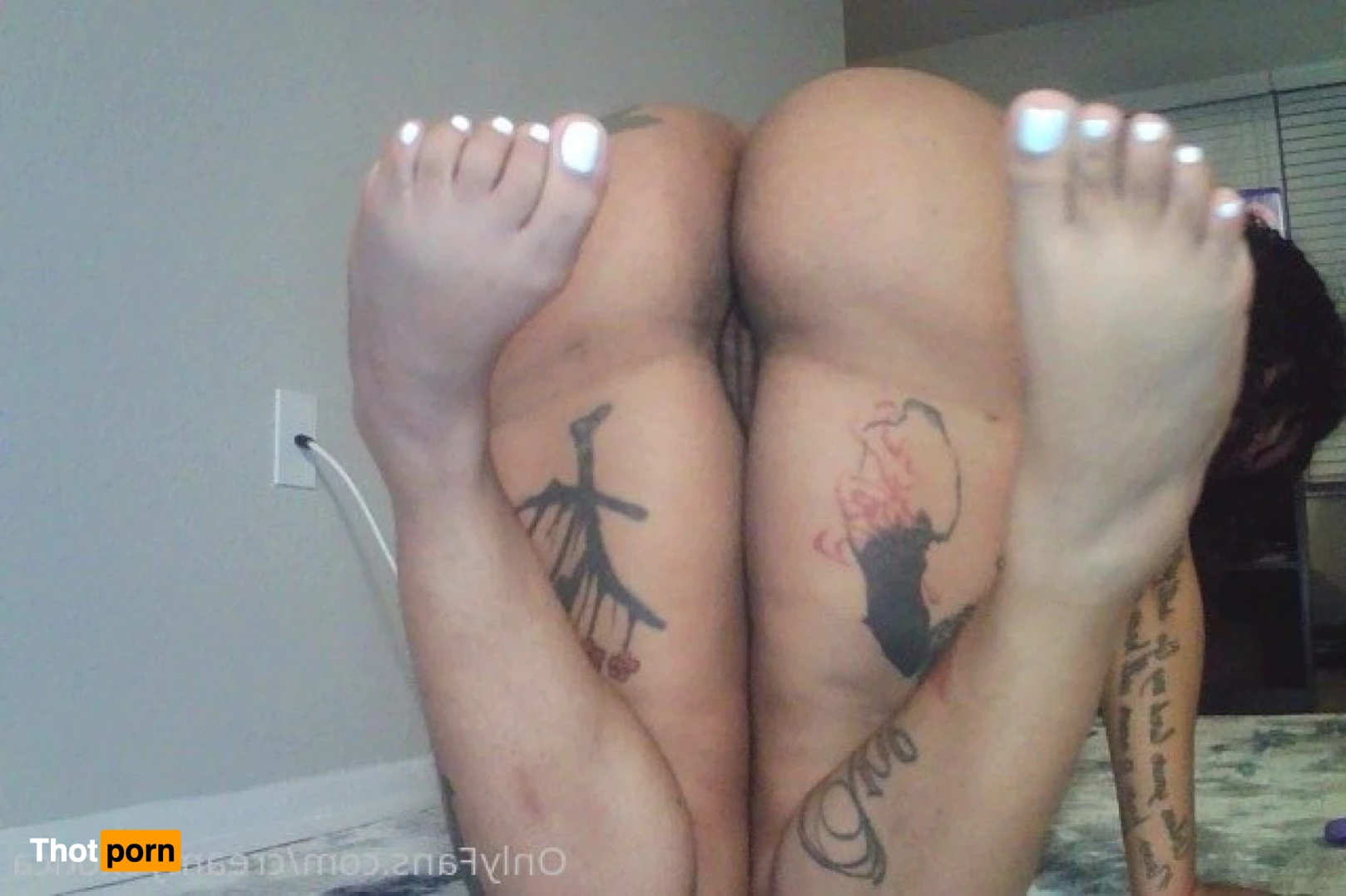 CREAMYEXOTICA 8617016