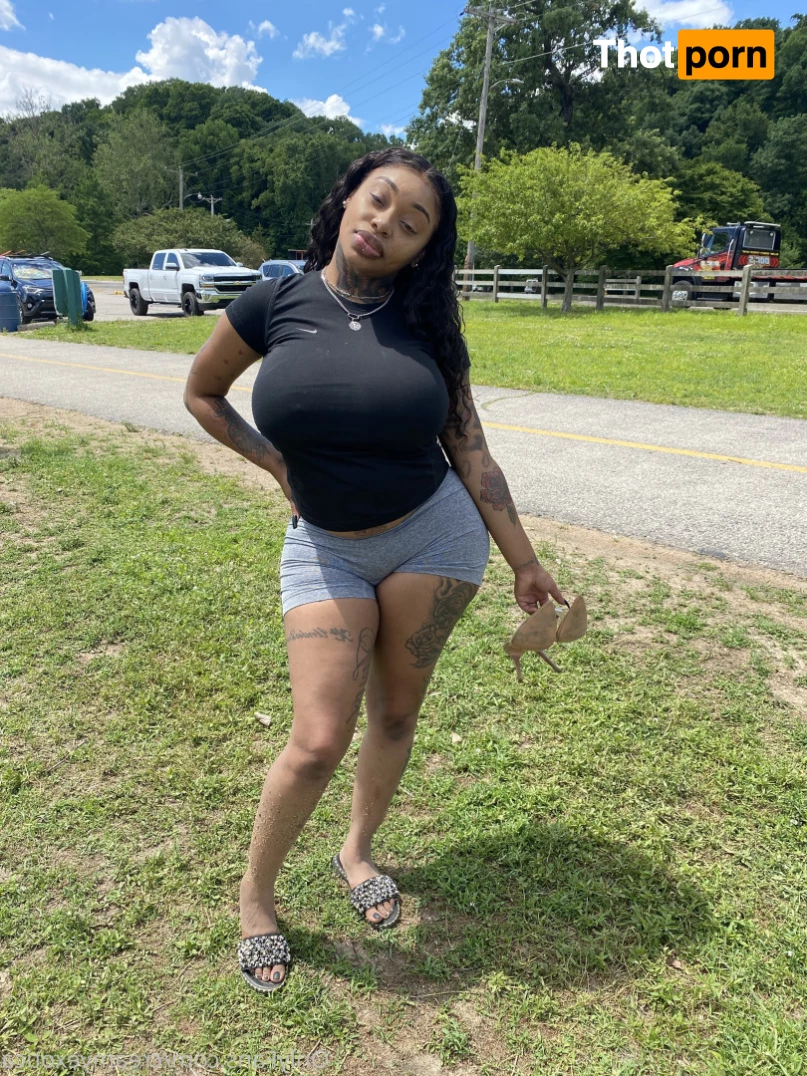 CREAMYEXOTICA 8617158