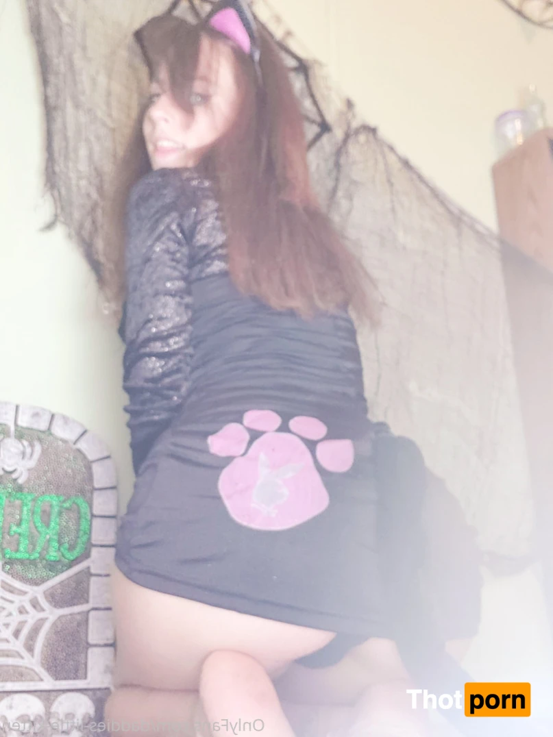 daddies-little-kitten 15611154