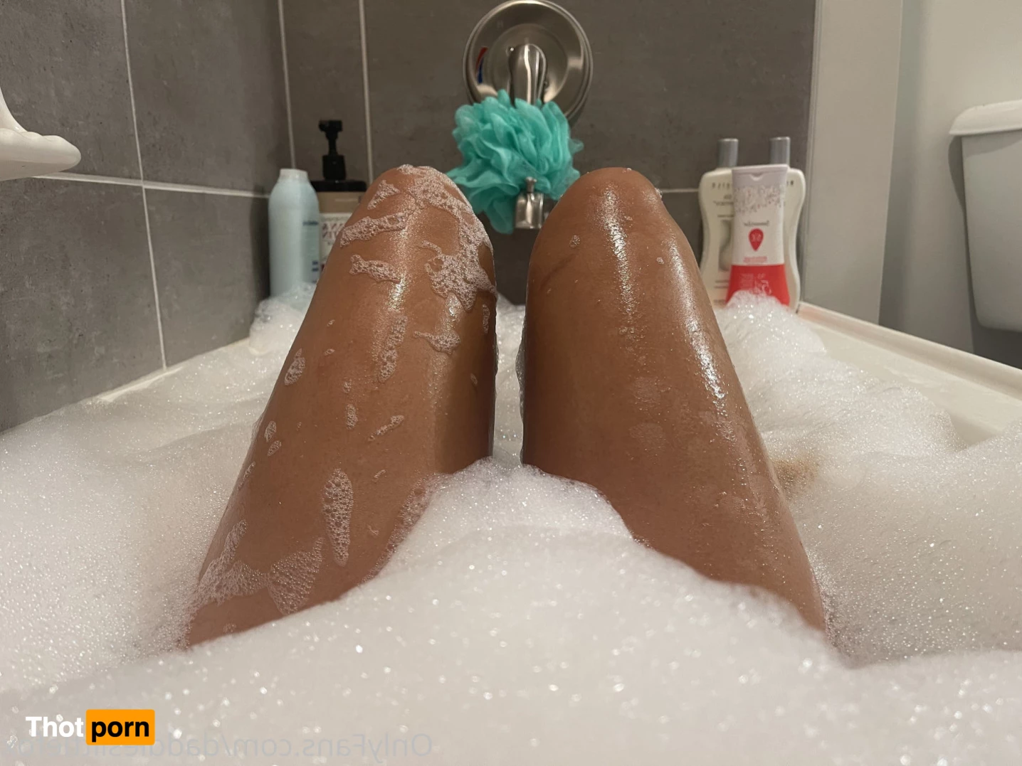 Fox 🦊 ✨👑 Top 2% 8738332