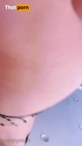 16096158