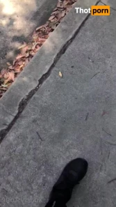 16096651