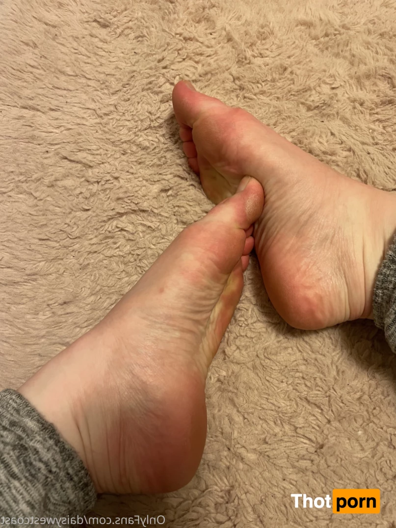 daisy 🌼 NO new content after January 1st 9108648