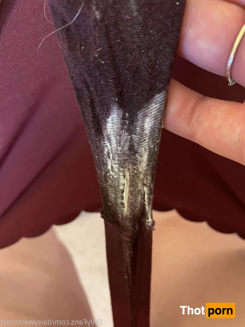 daisy 🌼 NO new content after January 1st 9108760