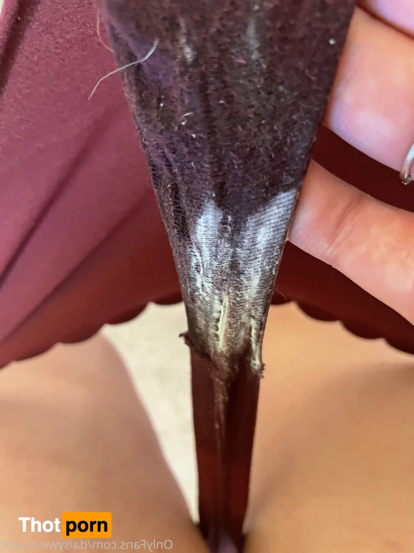 daisy 🌼 NO new content after January 1st 9108805