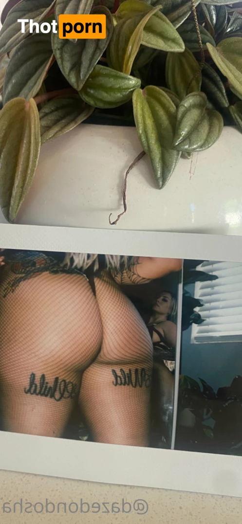 brooke dosha 9055529