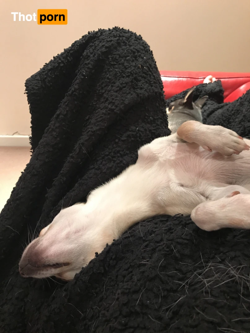 Devon Breeze 12636090