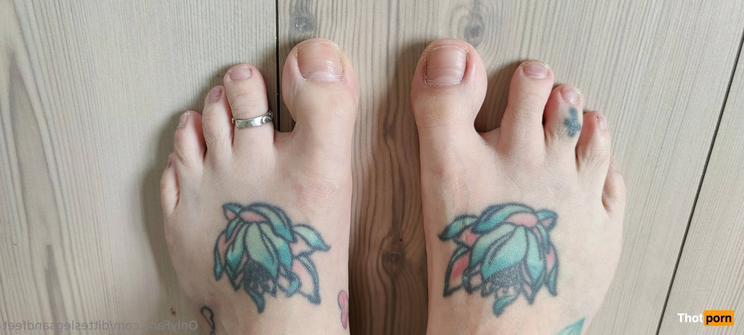 ditteslegsandfeet 8734327