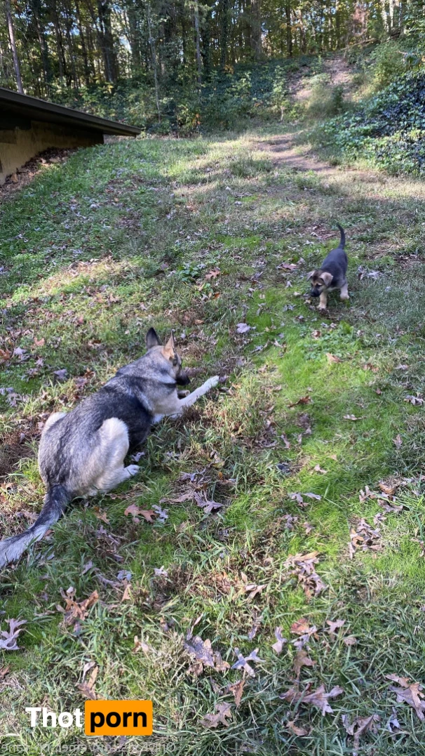 🌬  E M E R S O N 8915159