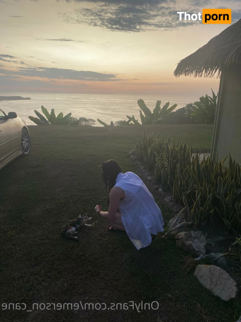 🌬  E M E R S O N 8915182