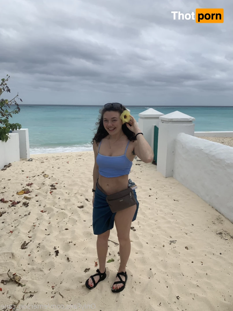 🌬  E M E R S O N 8915250