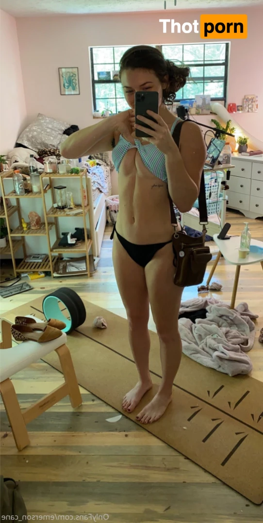 🌬  E M E R S O N 8915331