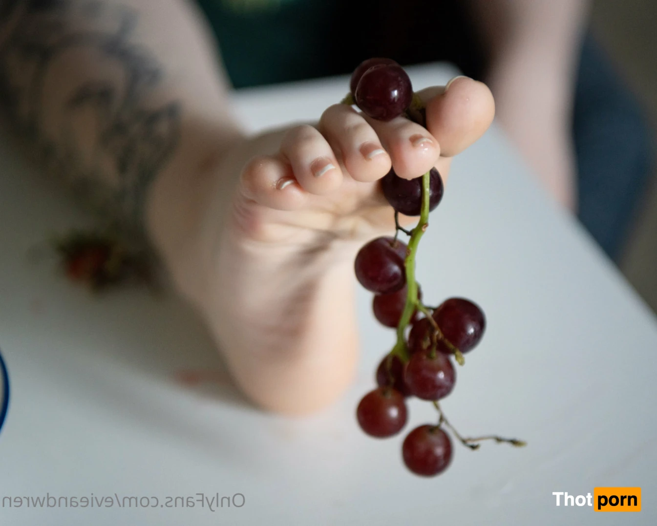 Evie &amp; Wren 16526001