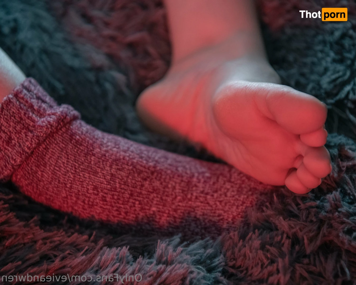 Evie &amp; Wren 16526459