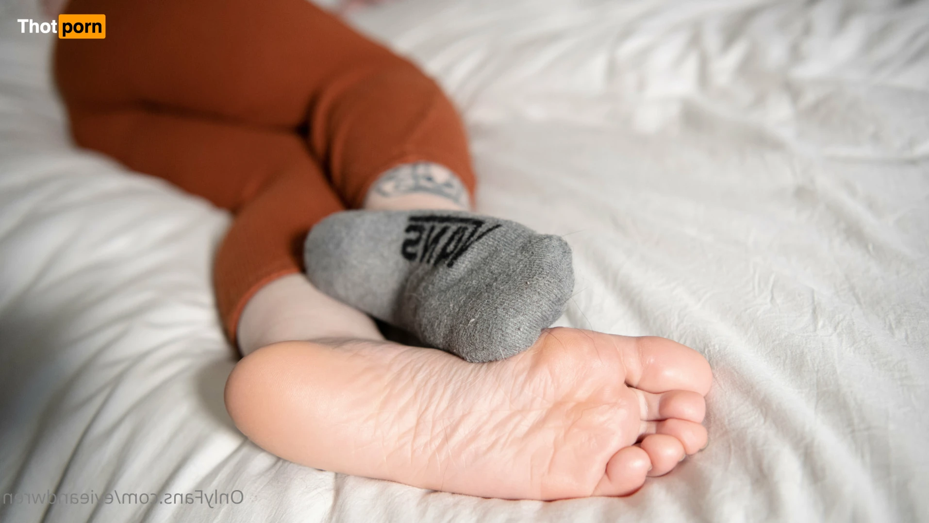 Evie &amp; Wren 16534050