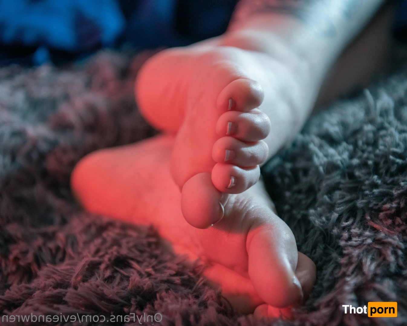 Evie &amp; Wren 16537116