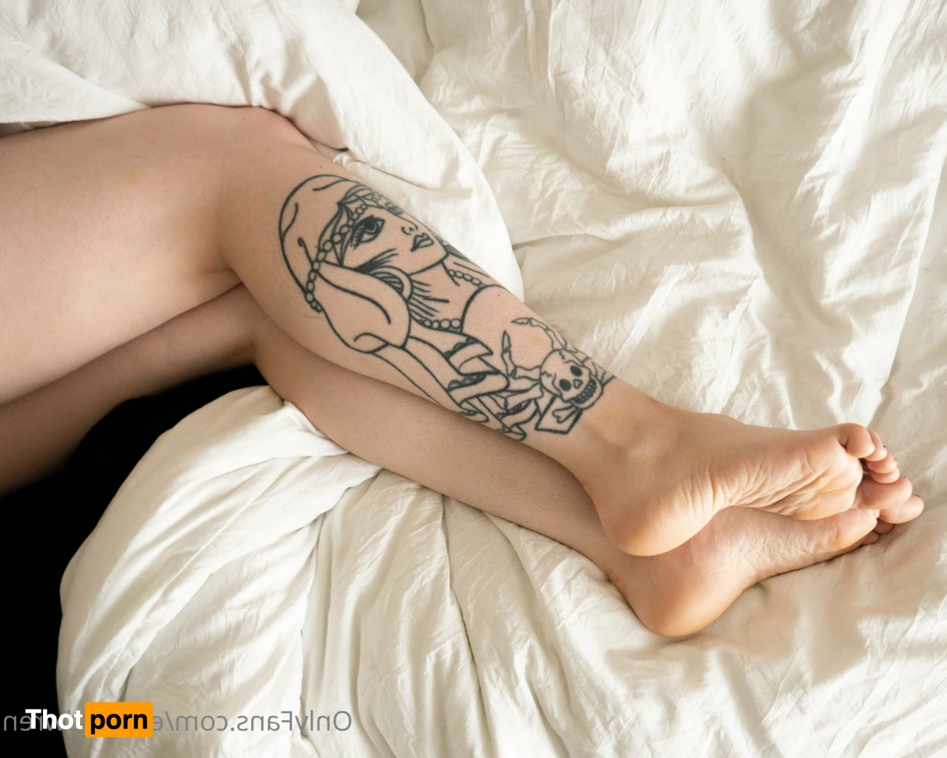 Evie &amp; Wren 16542157