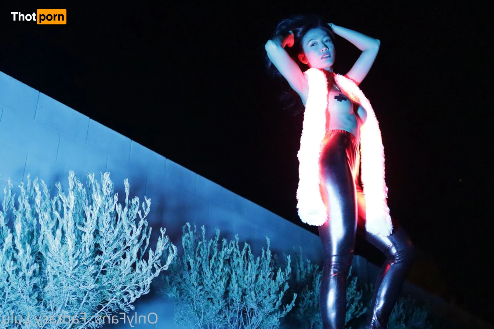 Fantasy Lulu 11671445