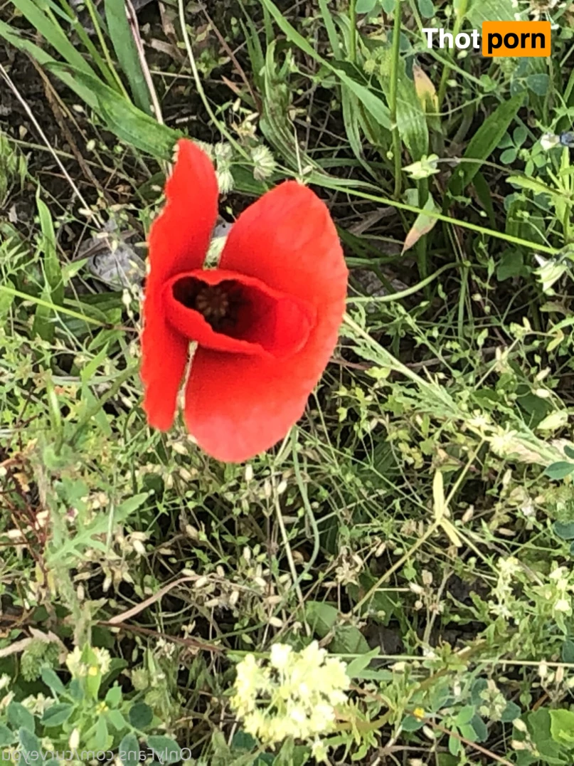 feetqueen 👑 🔥🏆 feet, pantyhose, teaser 8795138