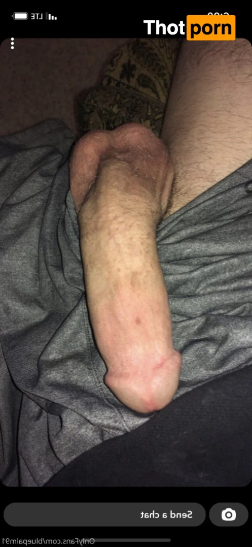 gayb0ybluepalm91 16071794