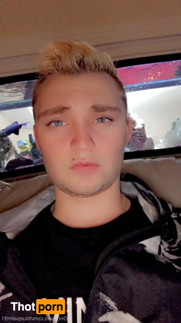 gayb0ybluepalm91 16071871