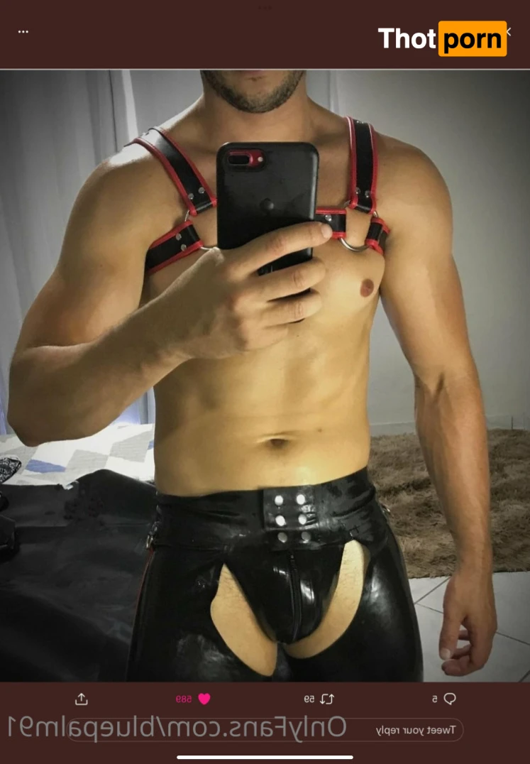 gayb0ybluepalm91 16071884