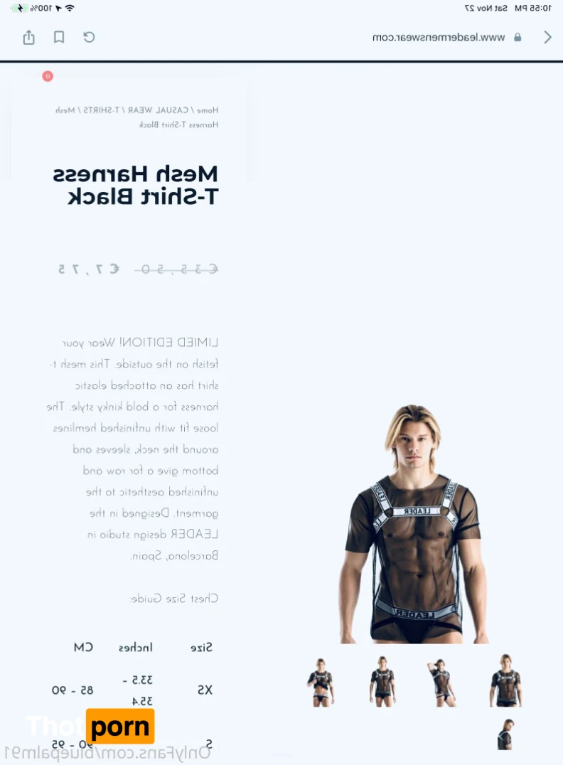 gayb0ybluepalm91 16071896