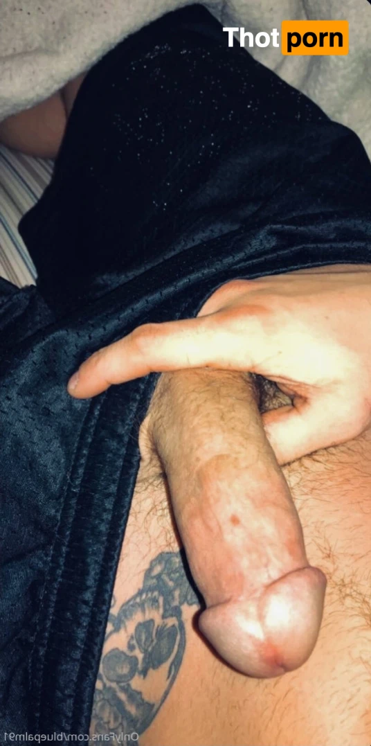 gayb0ybluepalm91 16072034