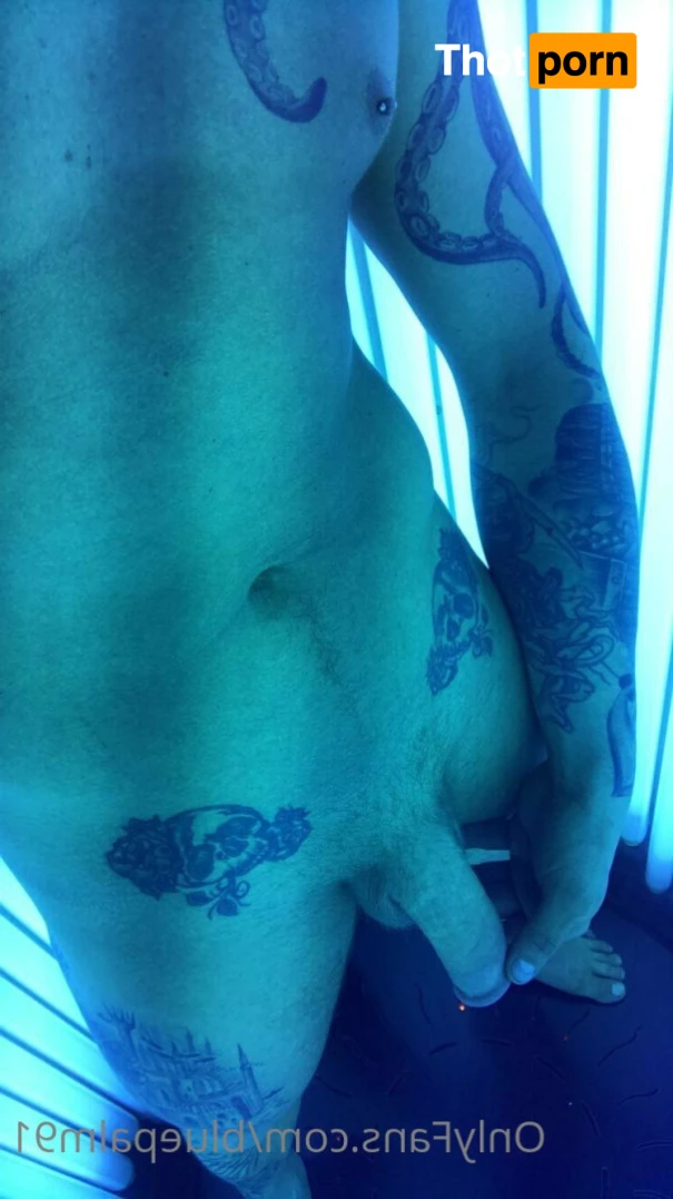 gayb0ybluepalm91 16072244