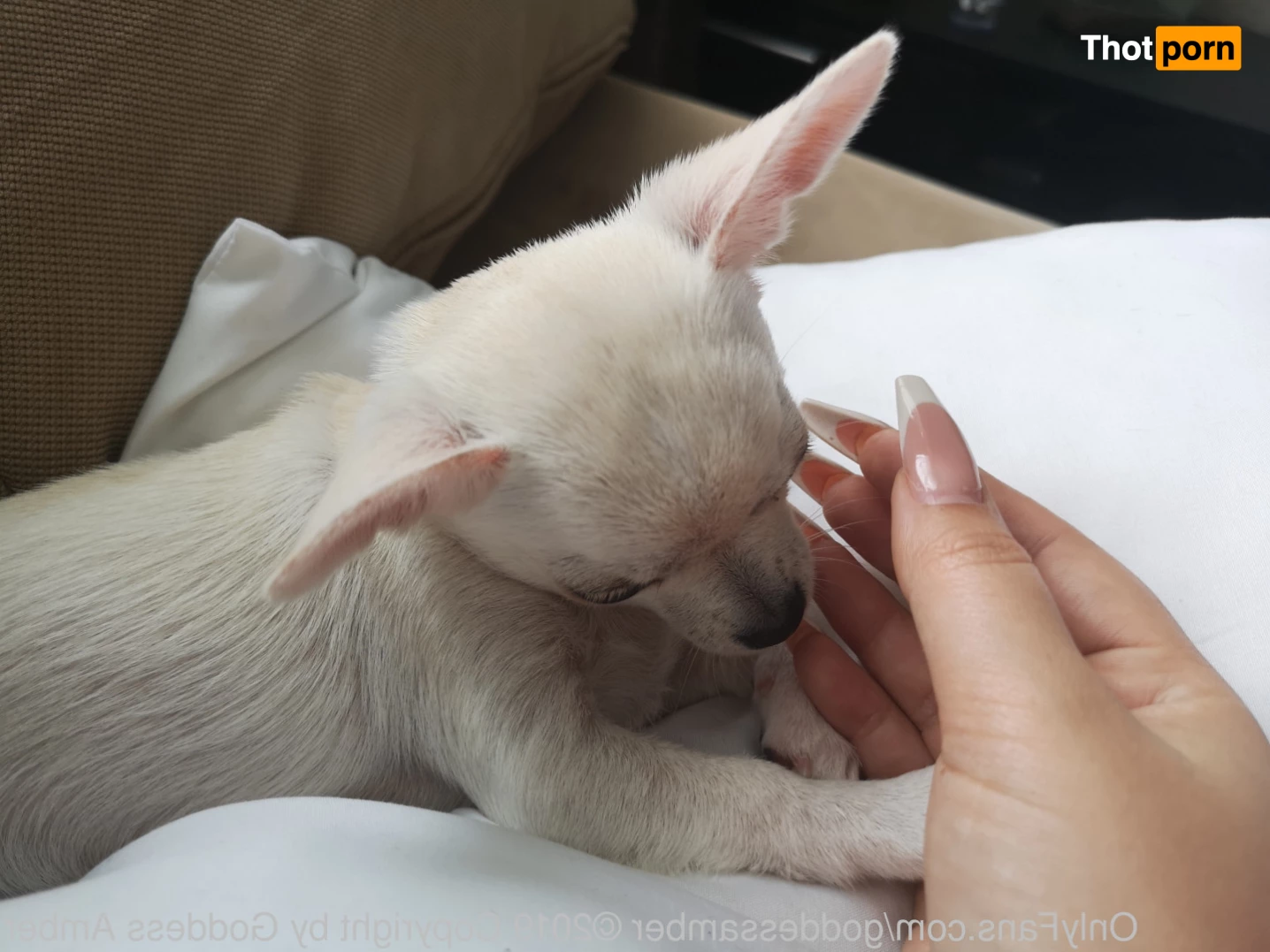 Goddess Amber 8563922