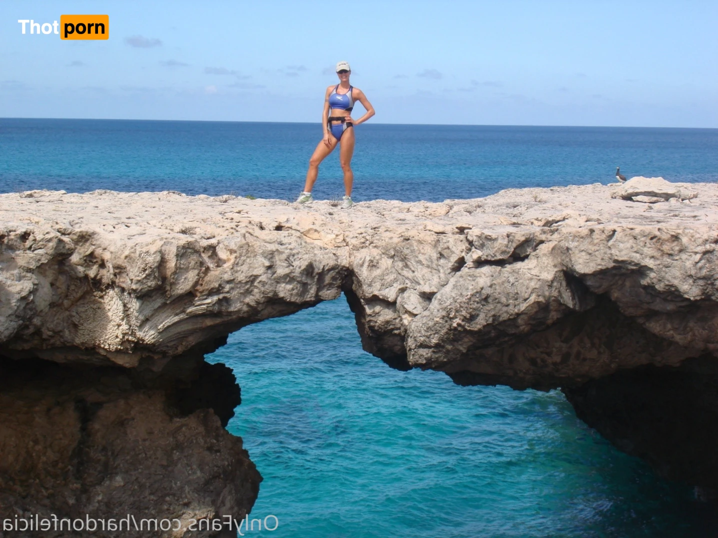 Felicia Hardon 16032047