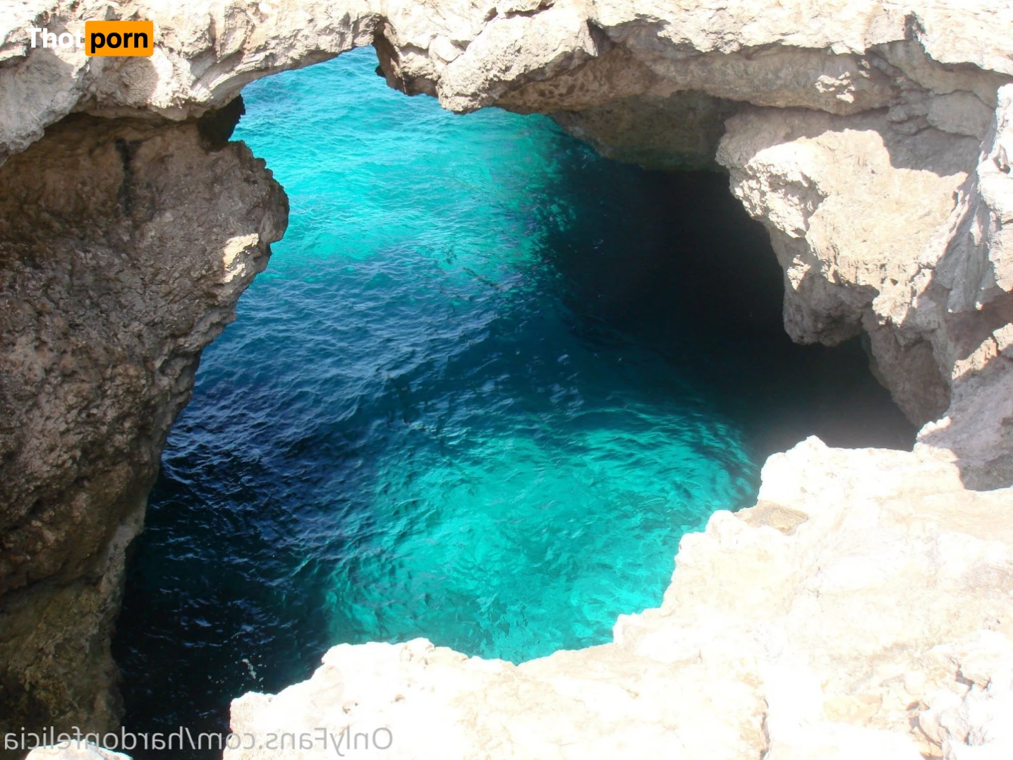 Felicia Hardon 16032382