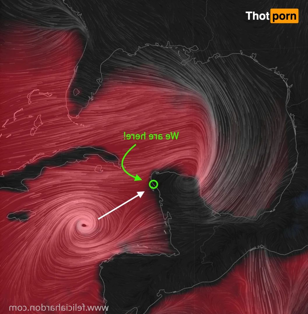 Felicia Hardon 16032706