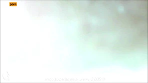 10403050
