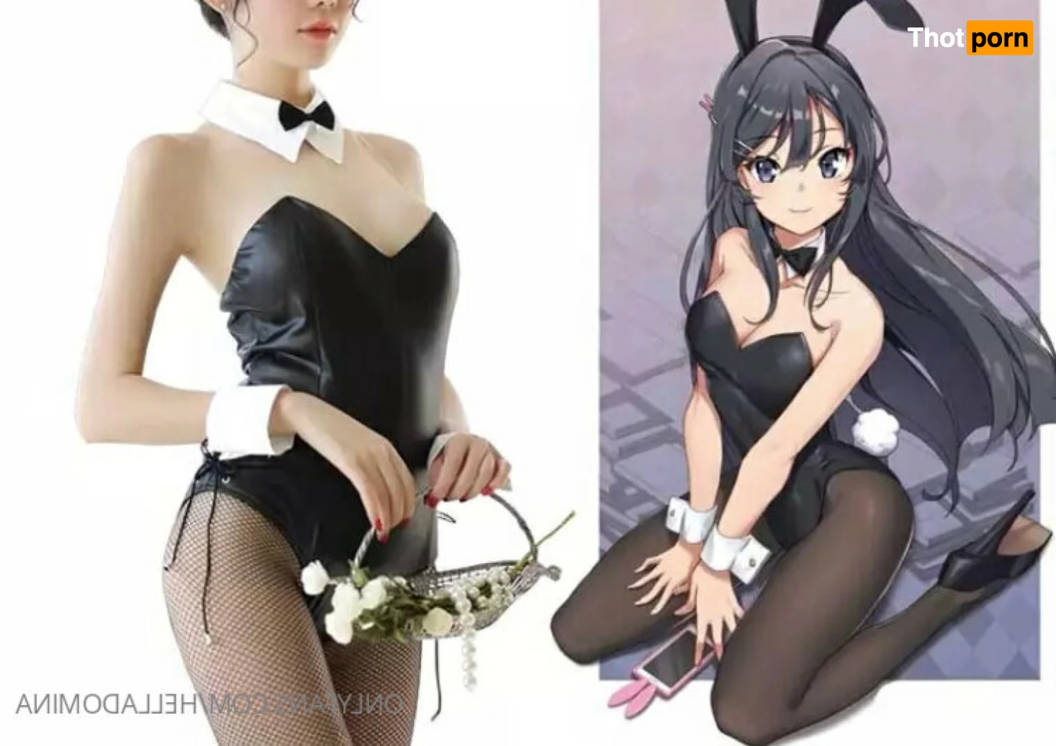 FEMDOM JOI QUEEN TOP 0%👑 16024583