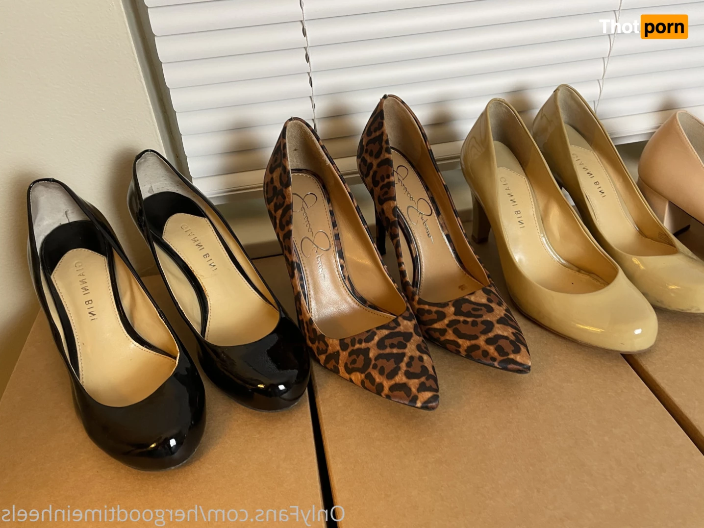 HerGoodTimeInHeels 8778346