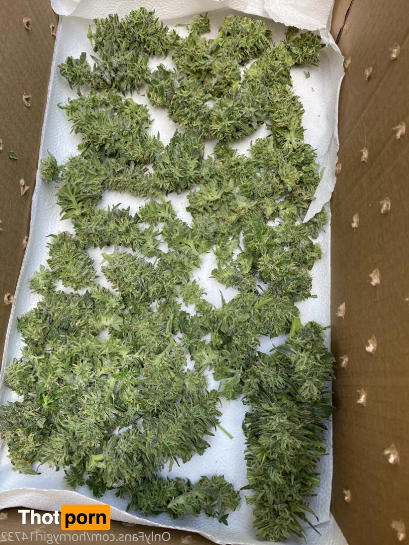 hornygirl1473 8773529