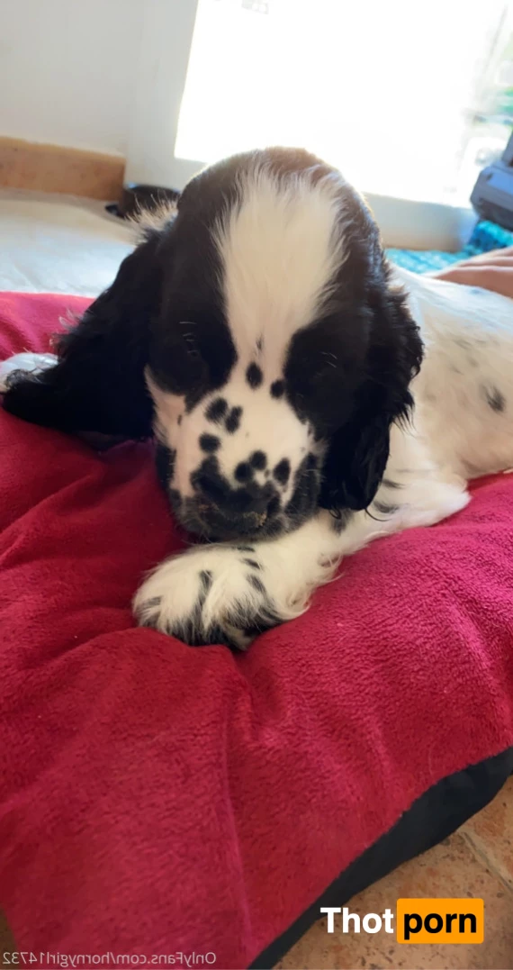 hornygirl1473 8773656