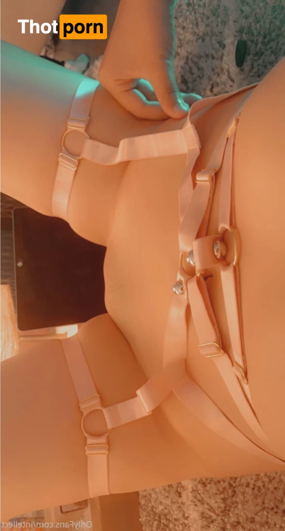 Intellect👾 8887284