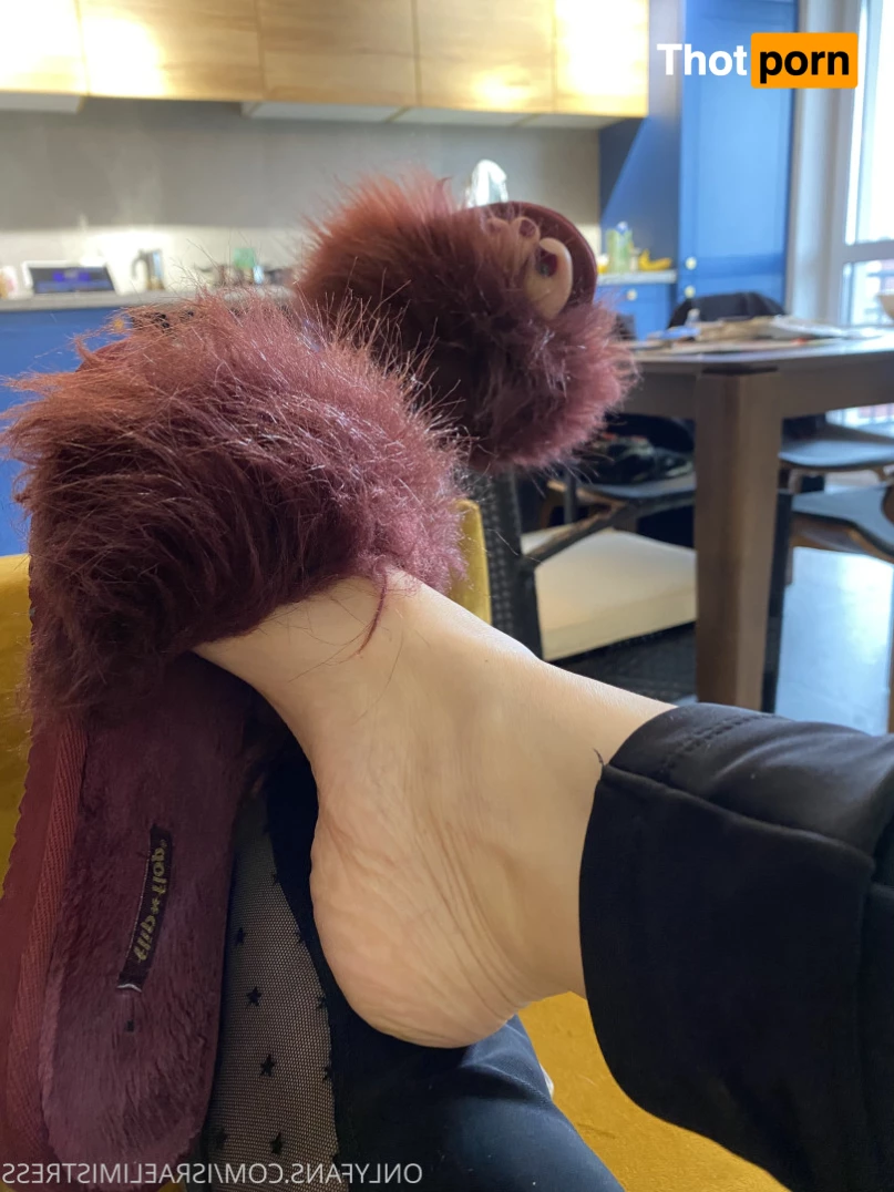 Jardena מיסטרס 8885546