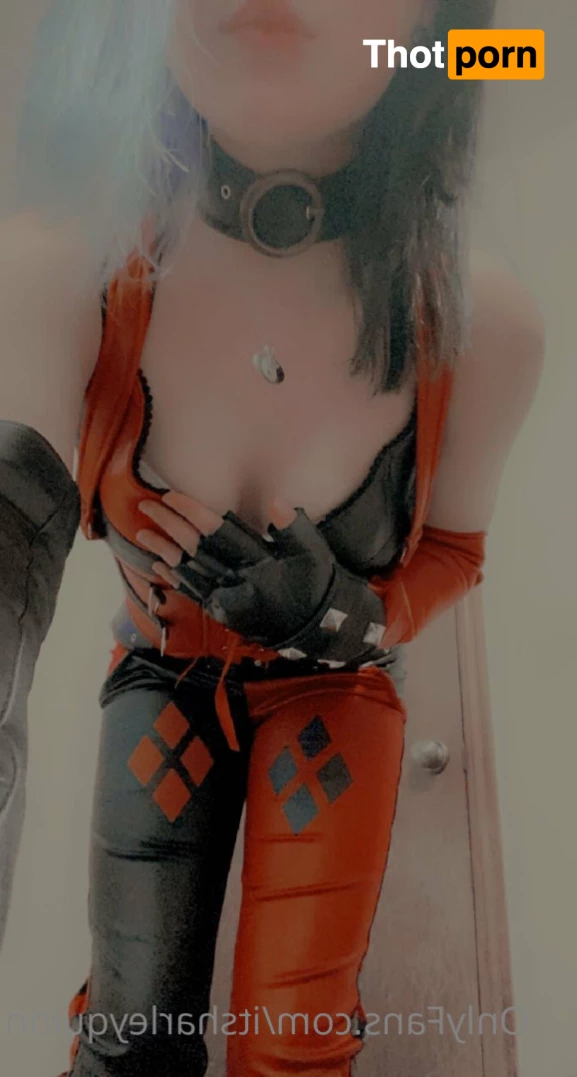 Harleen Quinzel 8832564