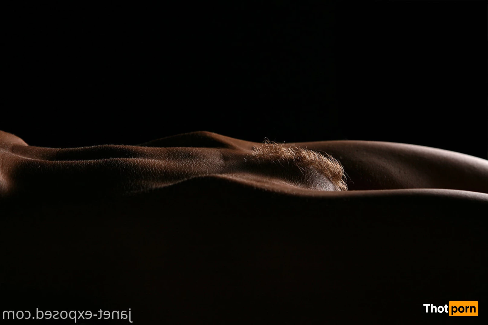 Janet Mason XXX 8459715