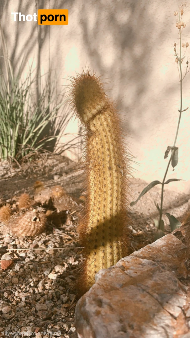 ✨Jen Moon✨ 10212653