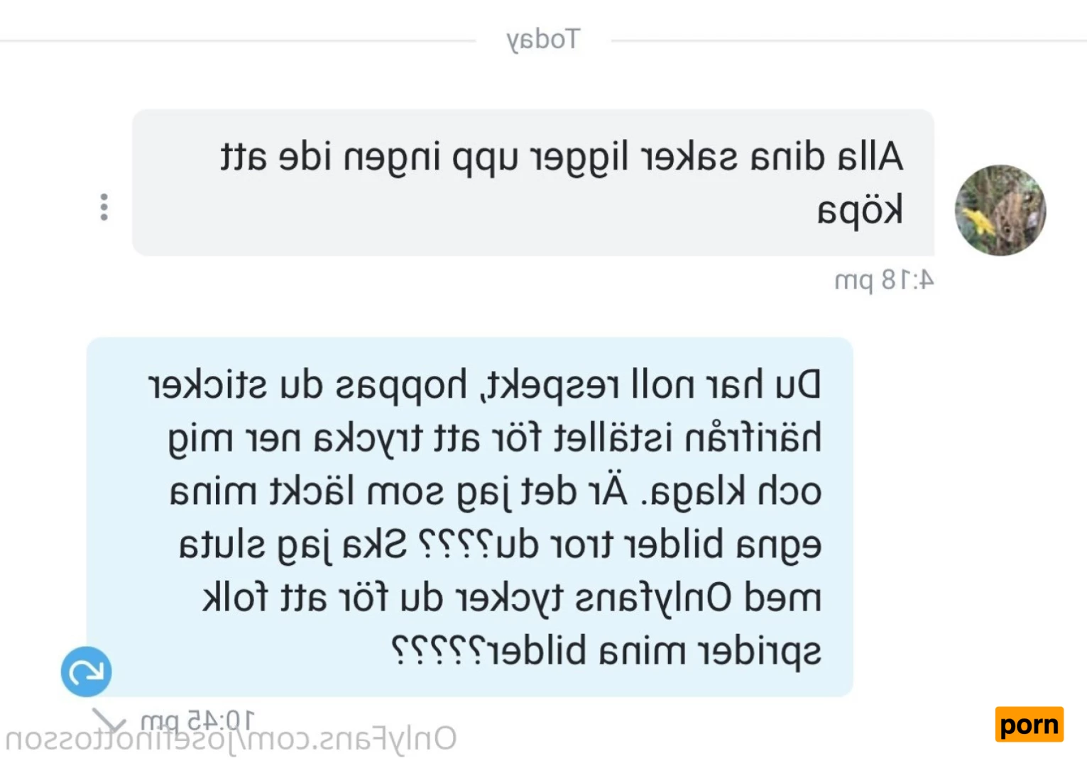 Josefin Ottosson 8663624