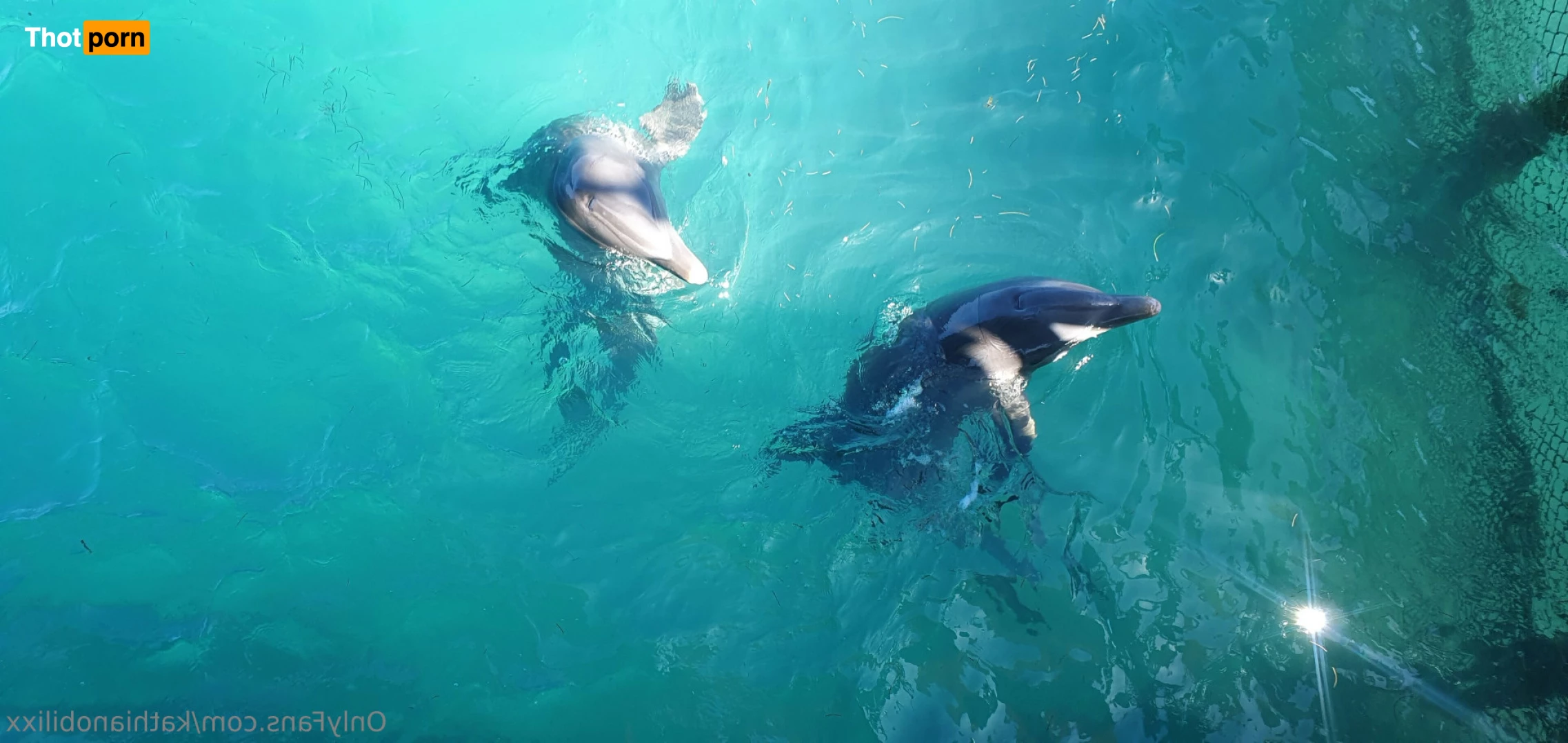 Kathia Nobili 8752848