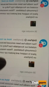 10360474